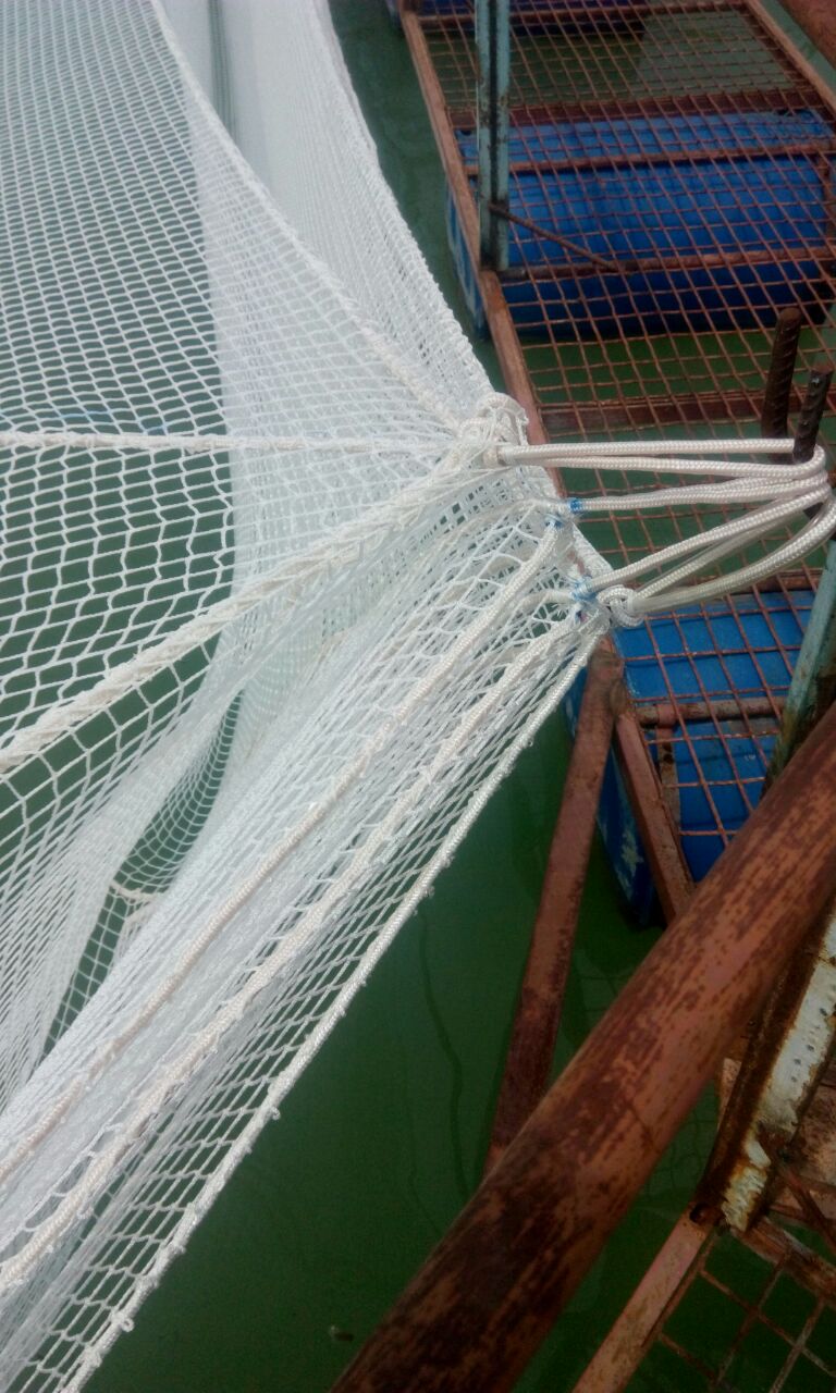 Установка садков