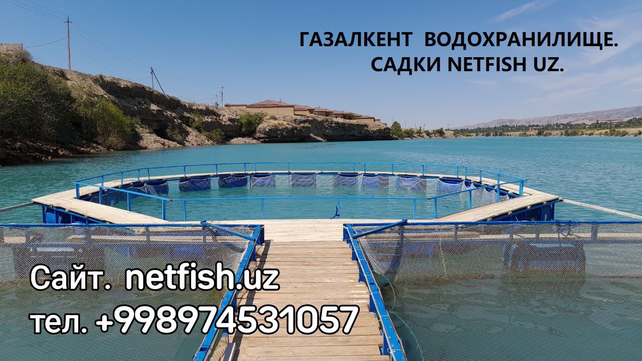 Қафасҳои моҳӣ