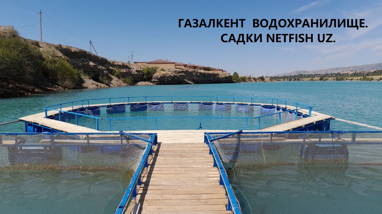 Истеҳсоли қафасҳо